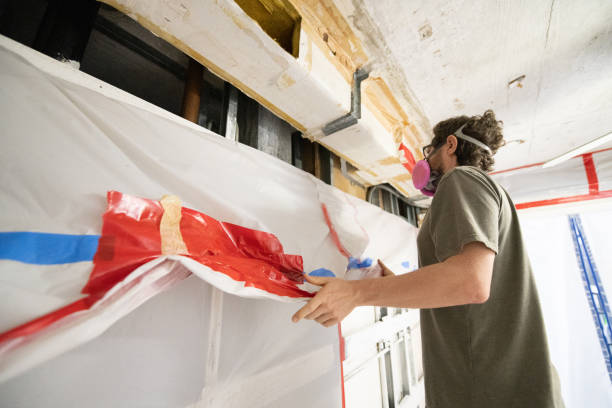 Reliable Lake Mohawk, OH Mold Removal Solutions